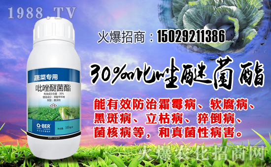 ����ؐ�����ףȫ�����ѹ�������f��������