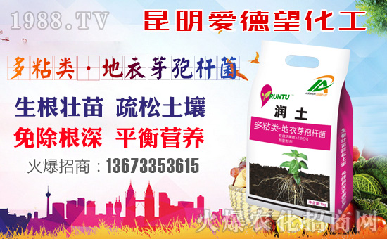 ���۵���������ף������µ�һ�����Ҹ����M���H�Қg����