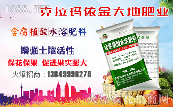 �����طʘI(y��)��ף������µ�һ���������³ɣ��f��������