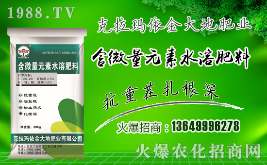 �����طʘI(y��)��ף������µ�һ���������³����f��������