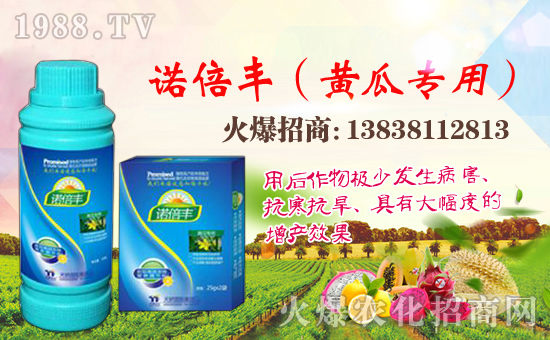 ������(gu��)�H��ףȫ��(gu��)�������w�������f(w��n)��������