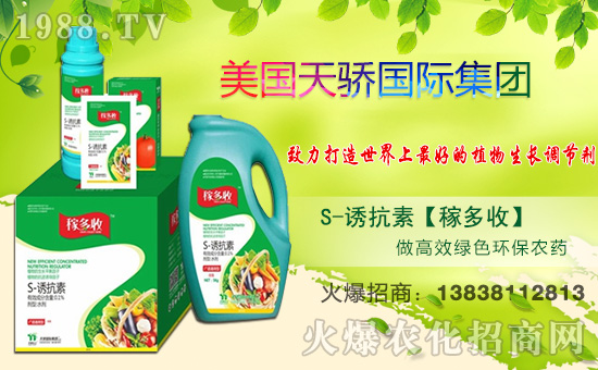 ������(gu��)�H��ףȫ��(gu��)�������w�������f(w��n)�����⣡