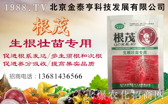 ��������̩�ࡿ��ף��λ��(j��ng)�N�����т�����t��ؔԴ�V�M��