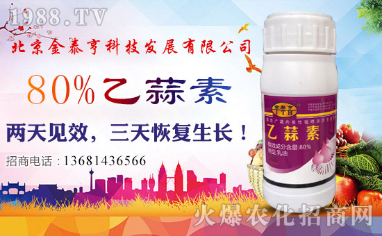 ��������̩�ࡿ��ף��λ��(j��ng)�N�����т�����t��ؔԴ�V�M��