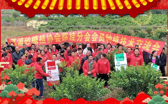 ���P�L(zh��ng)�����ףȫ��(gu��)���ѹ���󼪣��f��������