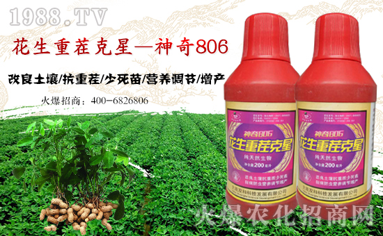 �����B�p�͡���ף���Ͽ͑������д��\(y��n)��ؔ(c��i)Դ�L�L����