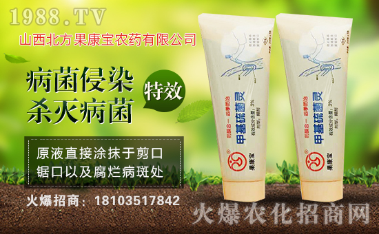 ��ɽ����������ף�������옷(l��)�����¶����