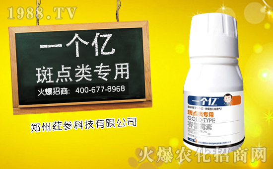 ��ȇ���Ƽ���ף������µ�һ�����Ҹ����M���H�Қg����