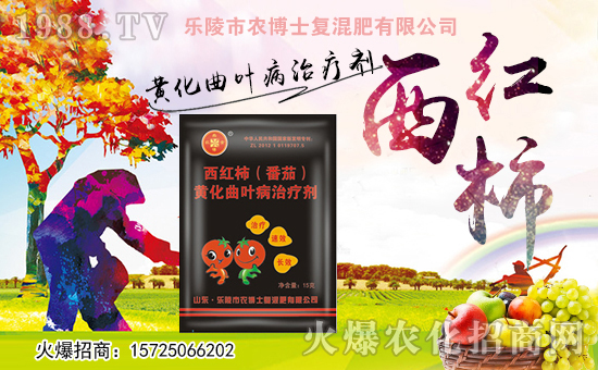 �������r(n��ng)��ʿ��ף������µ�һ������w�������f��������