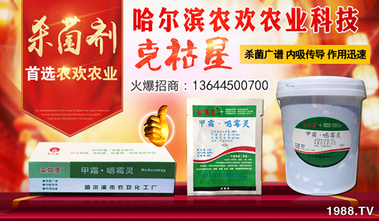 �������I�r(n��ng)�g�r(n��ng)��ףȫ�������_������f�����⣡