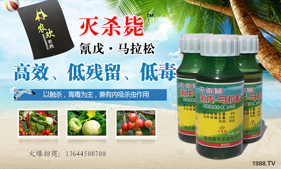 �������I�r(n��ng)�g�r(n��ng)��ףȫ�������_������f��������