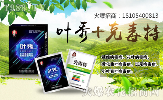     �L���ʹ��w���wѩӭѩ����һ��һ�ȵĴ���(ji��)��Ҫ���������@���e���g�c�ĕr�ڣ�ɽ�|�ʝ��оGԴ�r(n��ng)�����޹�˾ף������µ�һ���﹤�����������������