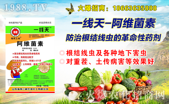 ���������ףȫ�����Ѻ��¶�࣬Ц�ݶ����