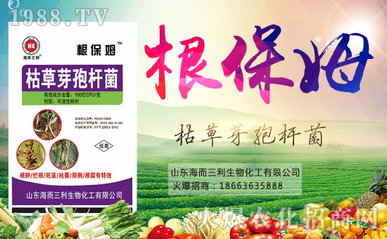 ���������ףȫ�����Ѻ��¶����Ц�ݶ����