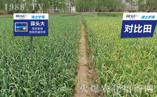 ��ʿ�o(h��)����(gu��)�H���F(tu��n)���޹�˾