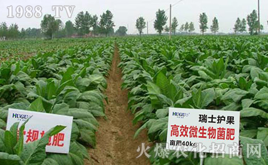 ��ʿ�o(h��)����(gu��)�H���F(tu��n)���޹�˾