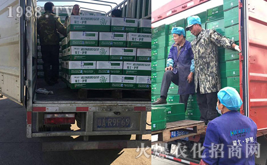 ��ʿ�o(h��)����(gu��)�H���F(tu��n)���޹�˾