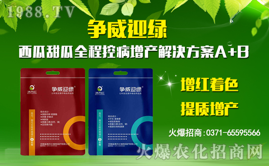 ���M��tֲ�ף������µ�һ�������w�������f��������