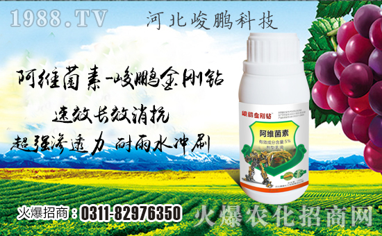 �����i�Ƽ���ףȫ���������w���������������