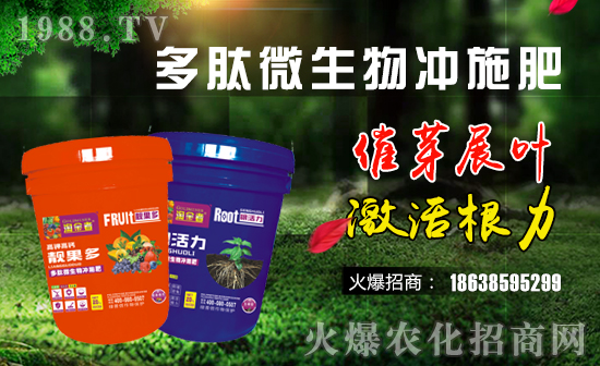 �������G���š�ףԸһ·�������т����w���������꼪����