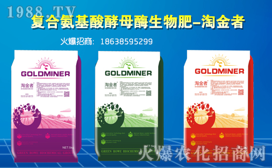 �������G���š�ףԸһ·�������т����w���������꼪�飡