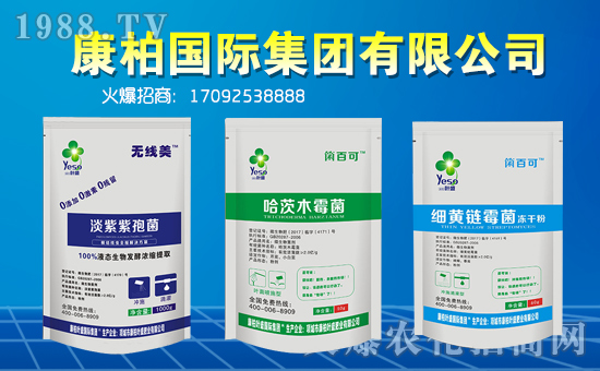 �����؇��H��ף��һ·�������т�?c��)��µ�һ�����Ҹ����M���H�Қg����