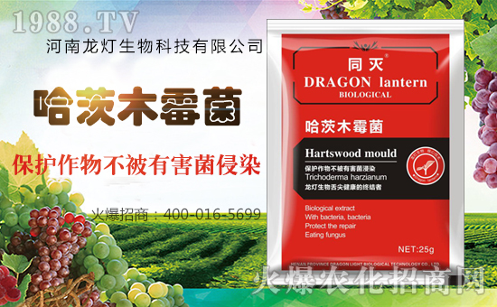 ������������Ƽ����޹�˾