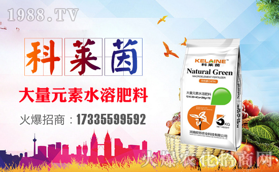 ���W���r(n��ng)�I(y��)��ף������µ�һ�����չ��D���H���Ҹ���