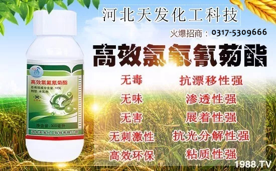 �ӱ���l(f��)����Ƽ����޹�˾