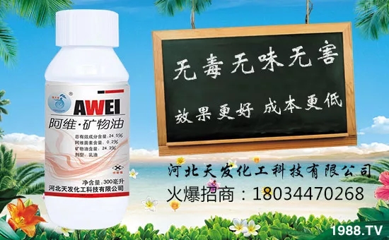 �ӱ���l(f��)����Ƽ����޹�˾