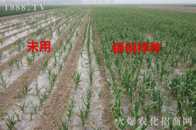 �Ϻ��Խ�r�I(y��)�Ƽ����޹�˾