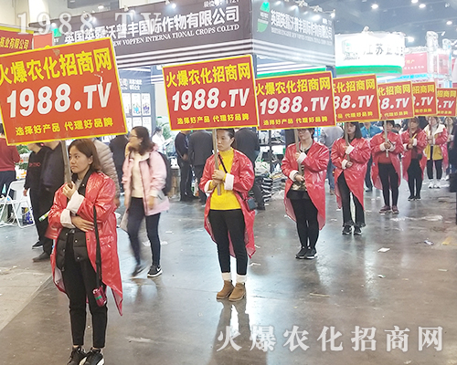     2018�����r(n��ng)ˎ�������r(n��ng)���W(w��ng)׌�fǧ�S�̳ɹ��_��(chu��ng)δ��