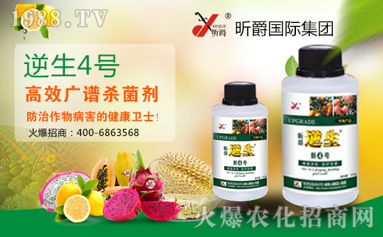     �����Y(ji��)���´����������˚gЦ���_�_���ğo(w��)�������������I(y��)����ֵ���´��ѹ�(ji��)��(l��i)�R֮�H��꿾��(gu��)�H���F(tu��n)ף������µ�һ����ؔ(c��i)Դ�L�L��(l��i)��