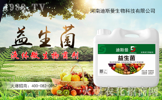 ����˹�����ף�����µ�һ�������w�������f��������