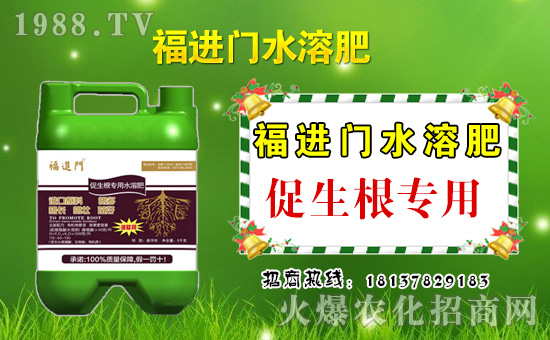     ����(ji��)����ؔ�񵽣����\֮����S���ҵ�ף�������µ�һ��������������������\�����������M�Tˮ�ܷ�ף���������l(f��)��