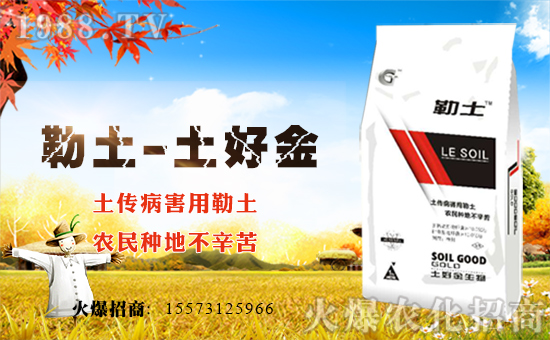 �����ý����ף������µ�һ�����´��옷���������