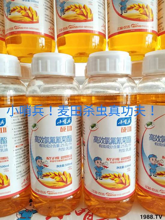 ���K�r(n��ng)���r(n��ng)�I(y��)�Ƽ����޹�˾