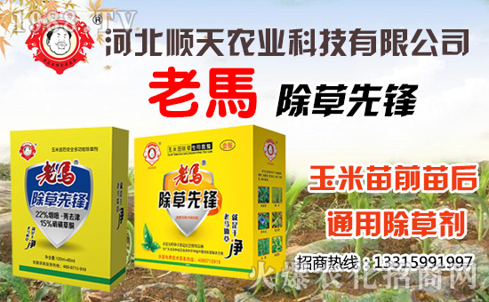 ������r(n��ng)�I(y��)��ףȫ���������µ�һ�����Ҹ����M���H�Қg����