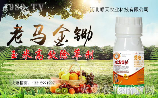 ������r(n��ng)�I(y��)��ףȫ���������µ�һ�����Ҹ����M���H�Қg����