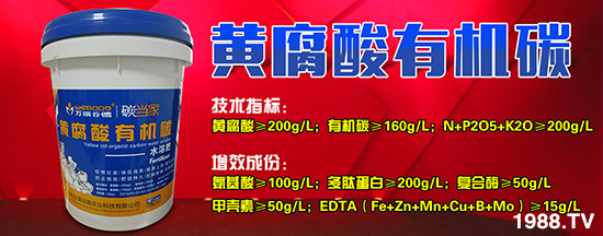 ��ɽ�|�f��ȵ¡�ȫ�w�T���o�r(n��ng)�Y��(j��ng)�N�����т���������