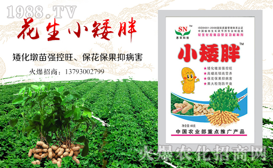 ���������ף����ҹ������������������