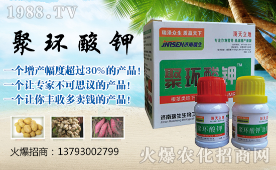 ���������ף����ҹ������������������