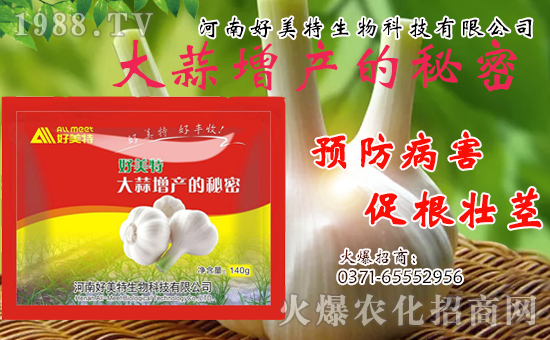 �����������ף������w�����������d�����H���Ҹ���