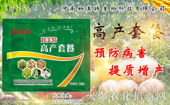 �����������ף������w�����������d¡���H���Ҹ���