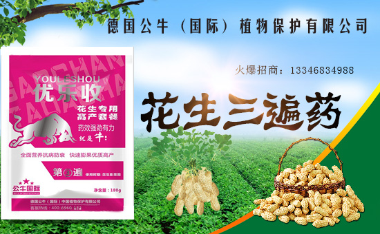 ����������ף������µ�һ���﹤�����������������