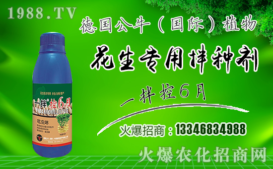 ����������ף������µ�һ���﹤�����������������