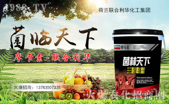 ��(li��n)�����A��ף������µ�һ�������w�������f��������