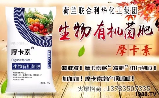 ��(li��n)�����A��ף������µ�һ�������w�������f�����⣡