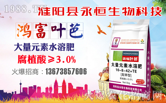 ���������ף������µ�һ���﹤�����������������