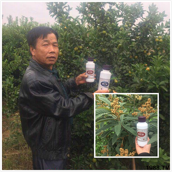 Ӣ���W�ʩ�طN�������޹�˾